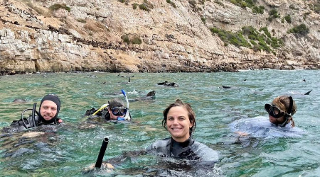 Seal Snorkelling Adventure